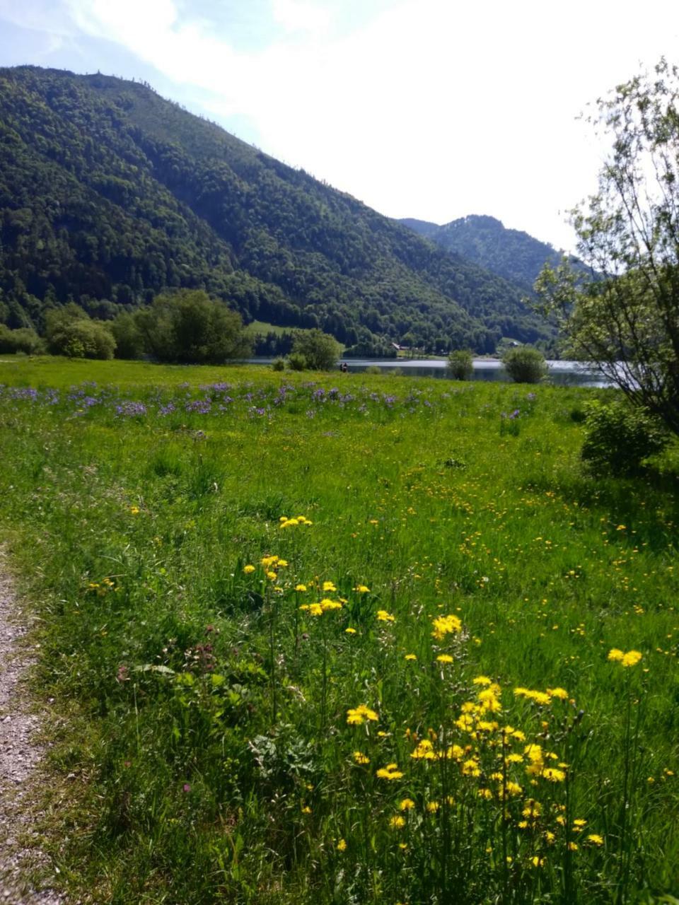 Privatzimmer Eva Leitgeb Faistenau Exterior foto